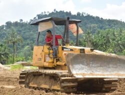 Pemkab Padang Pariaman Percepat Proses Pemulihan Lahan Pertanian