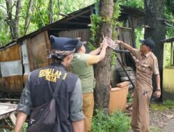 Petugas Trantibum Koto Tangah Tertibkan Reklame yang Semrawut dan Rusak Lingkungan