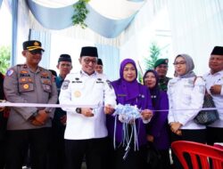 Posyandu Mawar Merah Standar Pelayanan Minimal Nagari Paninjauan Diluncurkan