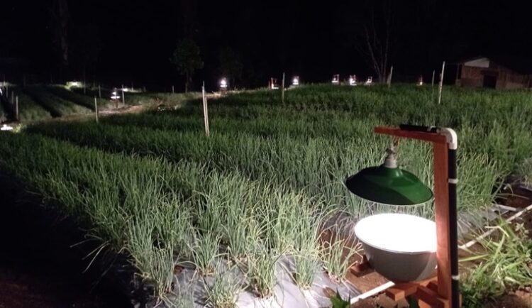Bulog Beri Garansi, Petani pun Termotivasi