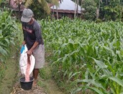 Bulog Beri Garansi, Petani pun Termotivasi
