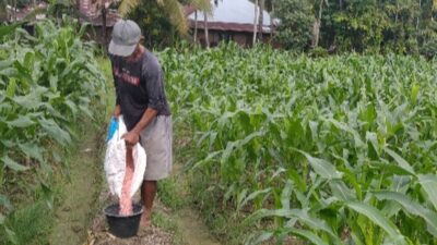 Bulog Beri Garansi, Petani pun Termotivasi