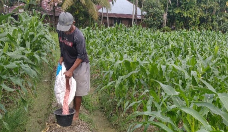 Bulog Beri Garansi, Petani pun Termotivasi