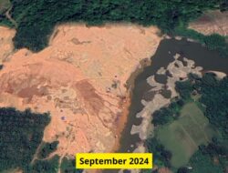 WALHI Sumbar Rilis Citra Satelit Tambang Emas Ilegal di Sijunjung, Diduga Jadi Penyebab Longsor Tewaskan 9 Pekerja