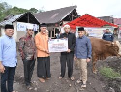 Tebar Qurban Pemprov Sumbar Meningkat Tajam, 140 Sapi dan 33 Kambing Disalurkan ke Berbagai Daerah