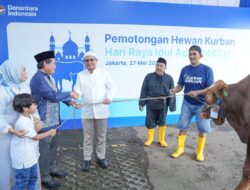Ekonomi: Hadir sebagai Bagian Danantara, BRI Group Tegaskan Komitmen Ketahanan Pangan Lewat Kurban