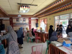 Kelurahan Payolansek Optimalkan Posyandu Berbasis SPM Menekan Angka Stunting dan Kemiskinan