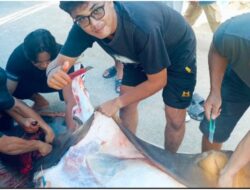 Empat Ekor Sapi Kurban Disembelih di Mushalla Al Mukmin Villa Bukit Gading Permai