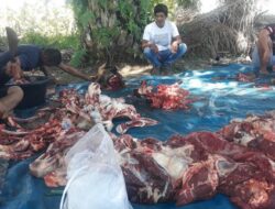 Iwapaliko Sembelih 2 Hewan Kurban pada Idul Adha 1447 Hijriah