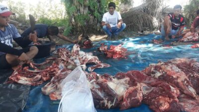 Suasana pelaksanaan kurban Iwapliko.