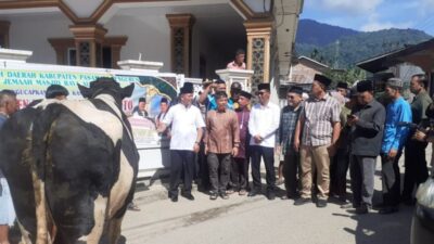 Suasana sebelum penyembelihan sapi kurban Presiden Prabowo Subianto di Masjid d Raya Nagari Alahan Mati, Kecamatan Simpang Alahan Mati, Pasaman.(ist)