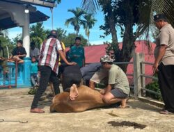 Kegiatan Kurban di Mushala Taqwa Bukit Gado-Gado Dilaksanakan Secara Gotong Royong