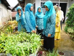 Kelompok Dasawisma Messra 6 Nagari Situmbuk Dinilai Tim Provinsi Sumbar