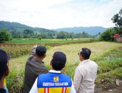 Pemkab Tanah Datar Dukung Rencana Pembangunan Sekolah Rakyat di Tanjung Alam