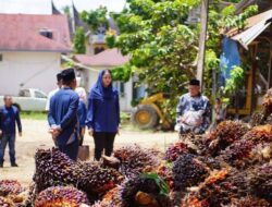 Bupati Ingatkan Perusahaan Sawit Jaga Stabilitas dan Pedomani Penetapan Harga TBS di Sumbar