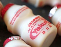 Yakult Rasa Stroberi Diperkenalkan, Tegaskan Komitmen Ajak Masyarakat Jaga Kesehatan Pencernaan dengan Minuman Probiotik