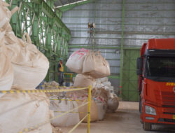 Kian Agresif Kembangkan Bisnis Nonsemen, PT Semen Padang Garap Industri Pulp dan Kertas hingga Peningkatan Kapasitas Sepablock