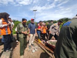 Dukung Pemulihan Pasca-Bencana, PT Semen Padang Kenalkan Sepablock sebagai Solusi Hunian Tangguh