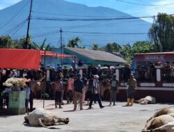 Semarak Idul Adha di Masjid Taqwa Ngalau: Dari Tradisi ‘Samba Kuah’ hingga Goro