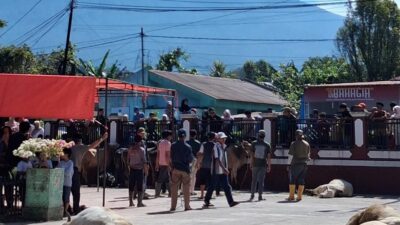 Penyembelihan hewan kurban di Masjid Taqwa Ngalau, Padang Panjang. (nabila)