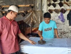 ‘Jatuh Bangun’ Ceo Maghfur Hadi dengan Grya Batik Dini
