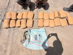 Polda Sumbar Berhasil Gagalkan Peredaran Puluhan Paket Besar Ganja Kering yang Dikirim dari Panyabungan