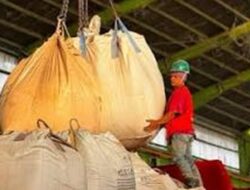 Jaga Kualitas Pupuk NPK, PT Pusri Kembali Gandeng PT Semen Padang Pasok 7.500 Ton Binder Clay