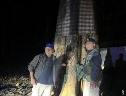 Patroli Malam di Hutan Jati dengan Mobil Bak Terbuka