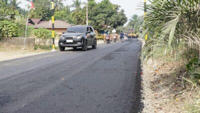 Bupati Annisa Piawai Menata Birokrasi dan Cekatan dalam Membangun