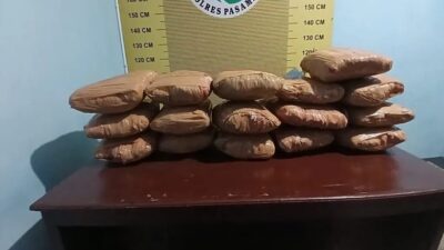 Polres Pasaman Tangkap Kurir Narkotika Bawa 16 Paket Besar Ganja Kering Siap Edar