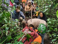 Nenek 67 Tahun yang Hilang di Lereng Marapi Ditemukan Selamat