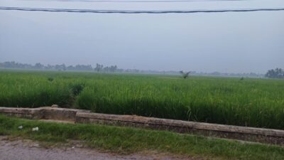 Kota Padang Diselimuti Kabut Asap