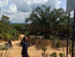 Pemerintah Terkesan tak Peduli, Warga Nagari Sikabau Kembali Layangkan Somasi Soal Lahan 2.366 Hektare