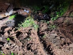 Hujan Deras Picu Bencana di Padang Pariaman