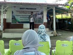 UPZ Baznas Semen Padang Tuntaskan Program Kambing Etawa, Dorong Mustahik Menjadi Muzaki