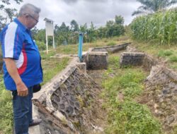 970 hektar lahan pertanian rusak paska bencana longsor di Nagari Tigo Koto Silungkang Palembayan