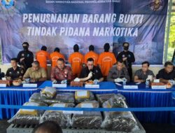 BNNP Sumbar Musnahkan 73 Kg Ganja, Jaringan hingga Lapas Terungkap