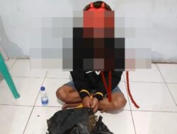 Simpan Paket Ganja dalam Jok Sepeda Motor, Polres Pasaman Amankan Pengedar