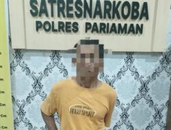 Residivis Kasus Narkoba Ditangkap di Sungai Limau, Polisi Sita Sabu dan Ganja