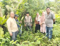 Pembangunan Gedung SMAN Agam Cendikia Senilai Puluhan Miliar Berjalan Lancar 