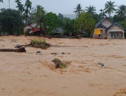 Banjir di Kuranji Padang, Penangkar Kehilangan 50 Ribu Bibit Tanaman