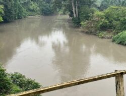 Sungai Batang Siat Kembali Tercemar: Air Menghitam, Bau Menyengat, PT DSL Bungkam