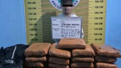 Kejar-kejaran di Jalinsum, Polres Pasaman Berhasil Amankan Pria Membawa 21 Paket Besar Ganja